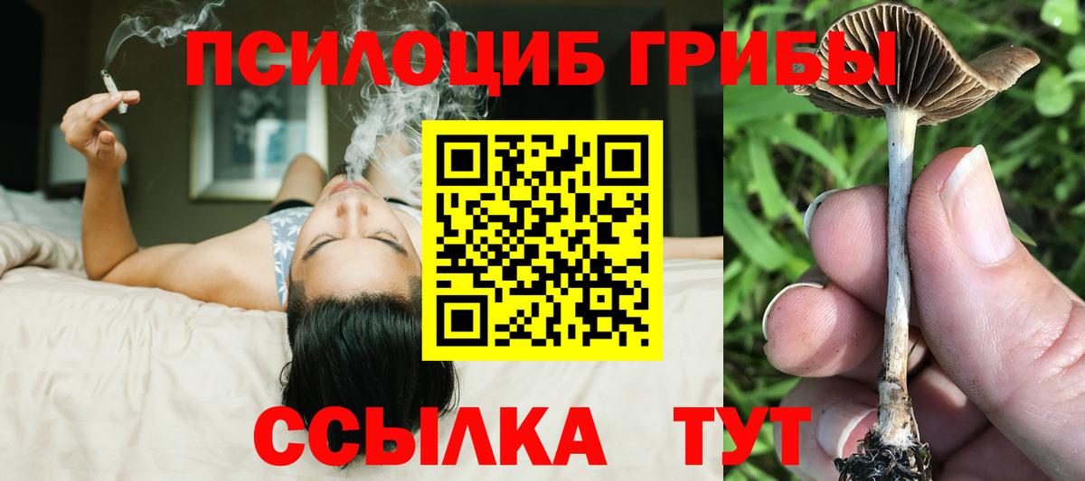 Псилоцибиновые грибы Cubensis Уссурийск