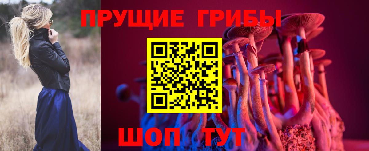 Псилоцибиновые грибы Cubensis  Псилоцибиновые грибы мицелий  Вход с VPN  Уссурийск 